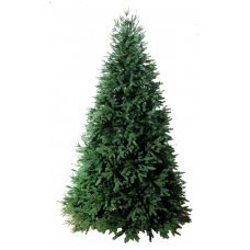 Χριστουγεννιάτικο Δέντρο Χέλμος (2,40m)